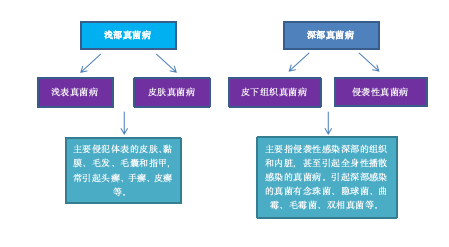 iShot_2025-03-12_16.26.47.png