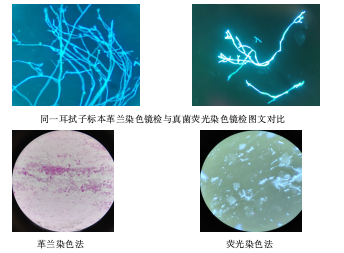iShot_2025-03-12_16.28.49.png
